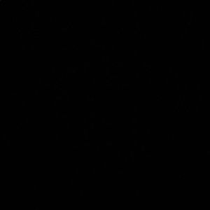 Meet your Posher, Garrett